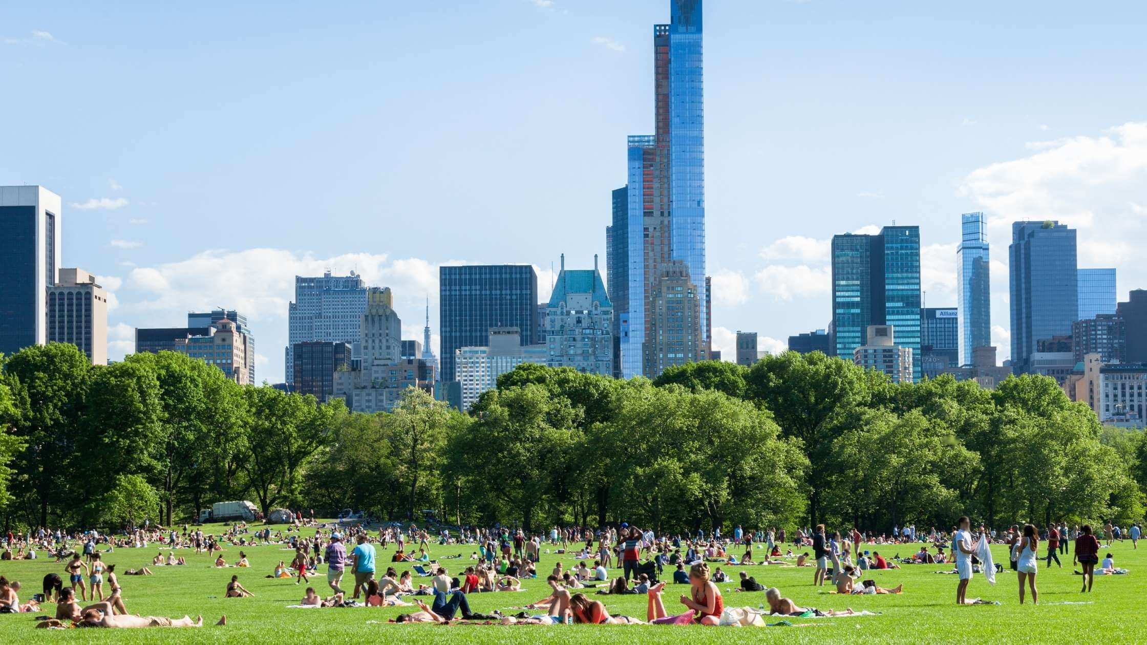 sunbathers on grass in central park
