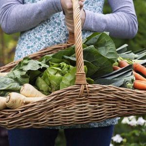 AmpleHarvest.org ending fresh food waste