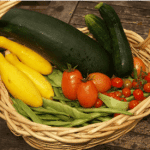basket of tomatoes, zucchini , and greens
