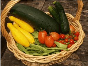 basket of tomatoes, zucchini , and greens