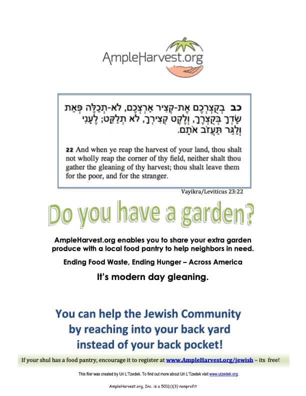 AmpleHarvest.org flier for your local Synagogue