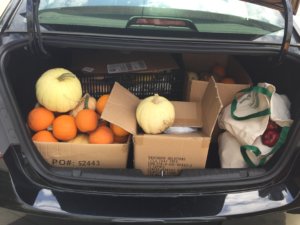 care trunk full of pumpkins